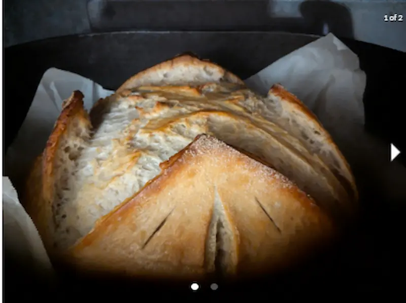 Sourdough White