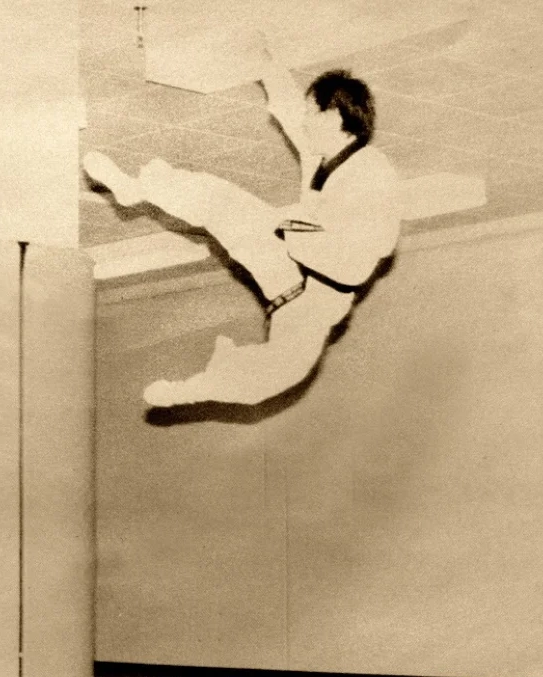 Taekwondo