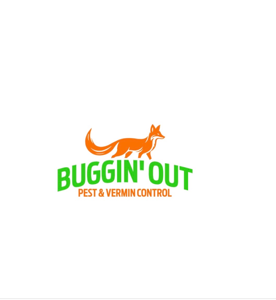 Buggin' Out Logo