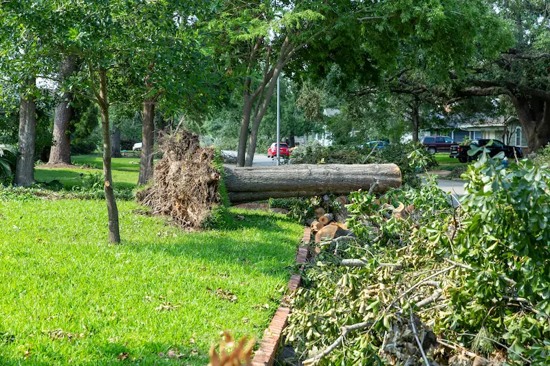 Extensive storm damage debris covering a yard