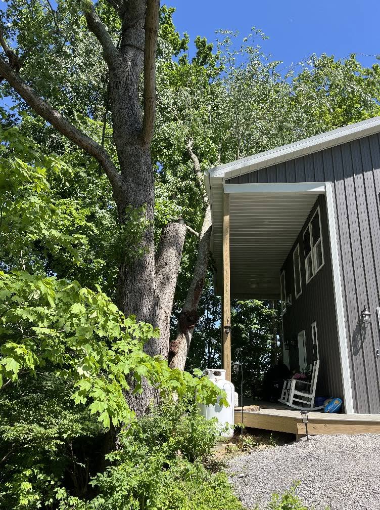 Extensive tree trimming near a residential home