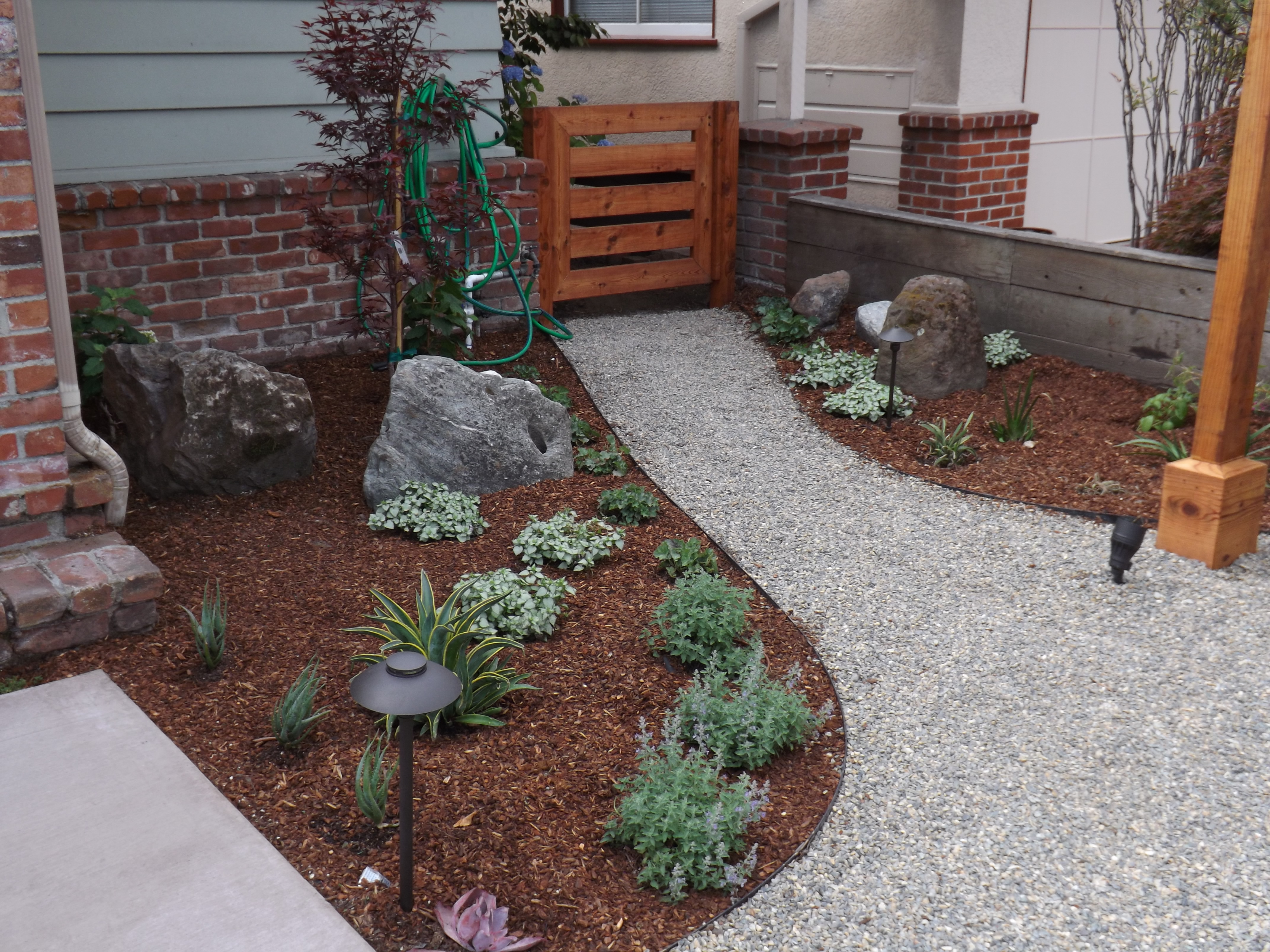 One-time yard cleanup in Oakland / East Bay