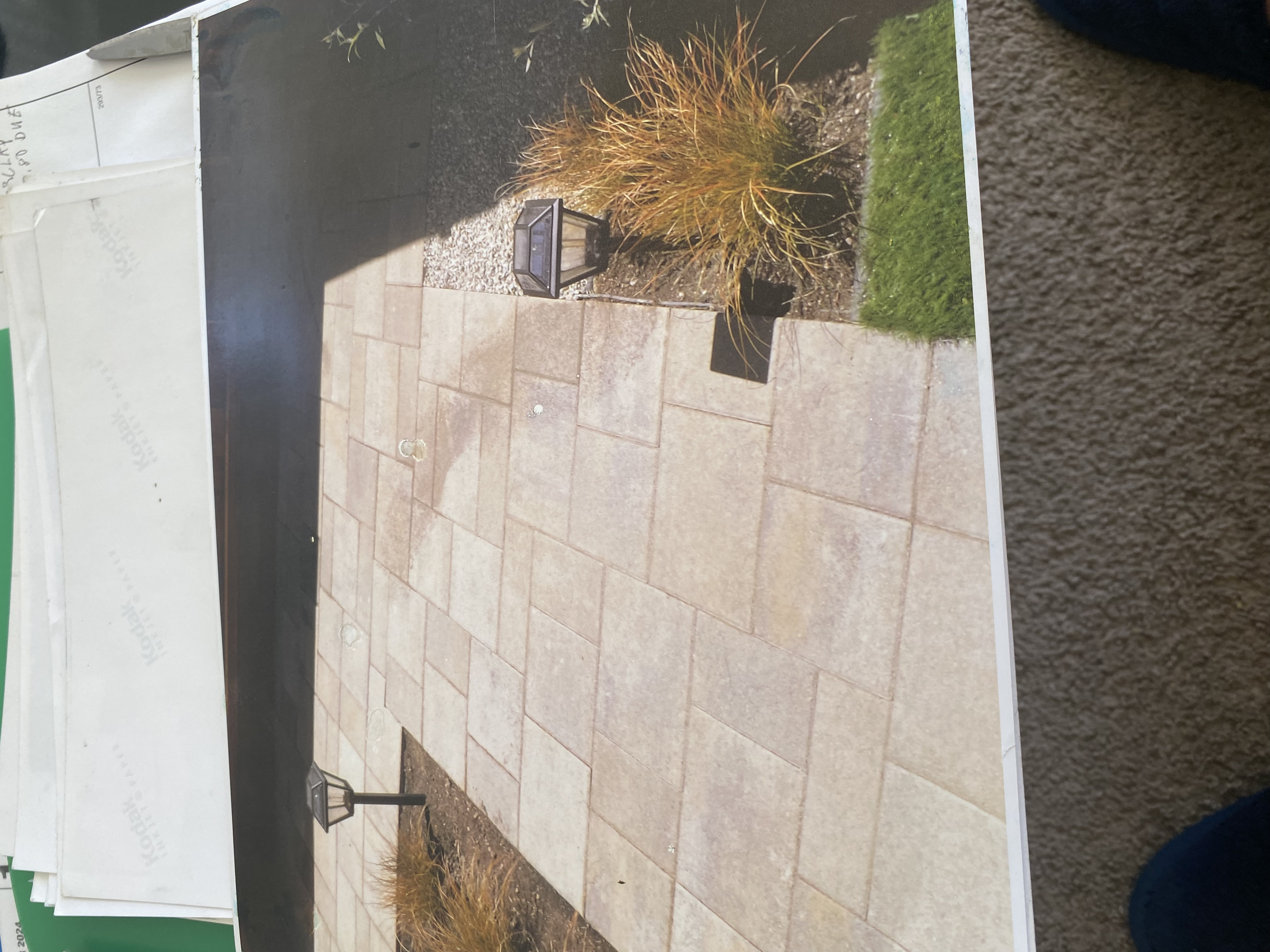 Landscape Lighting in Oakland / East Bay