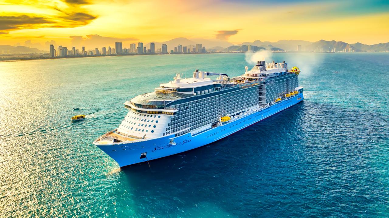 Search Live Cruises