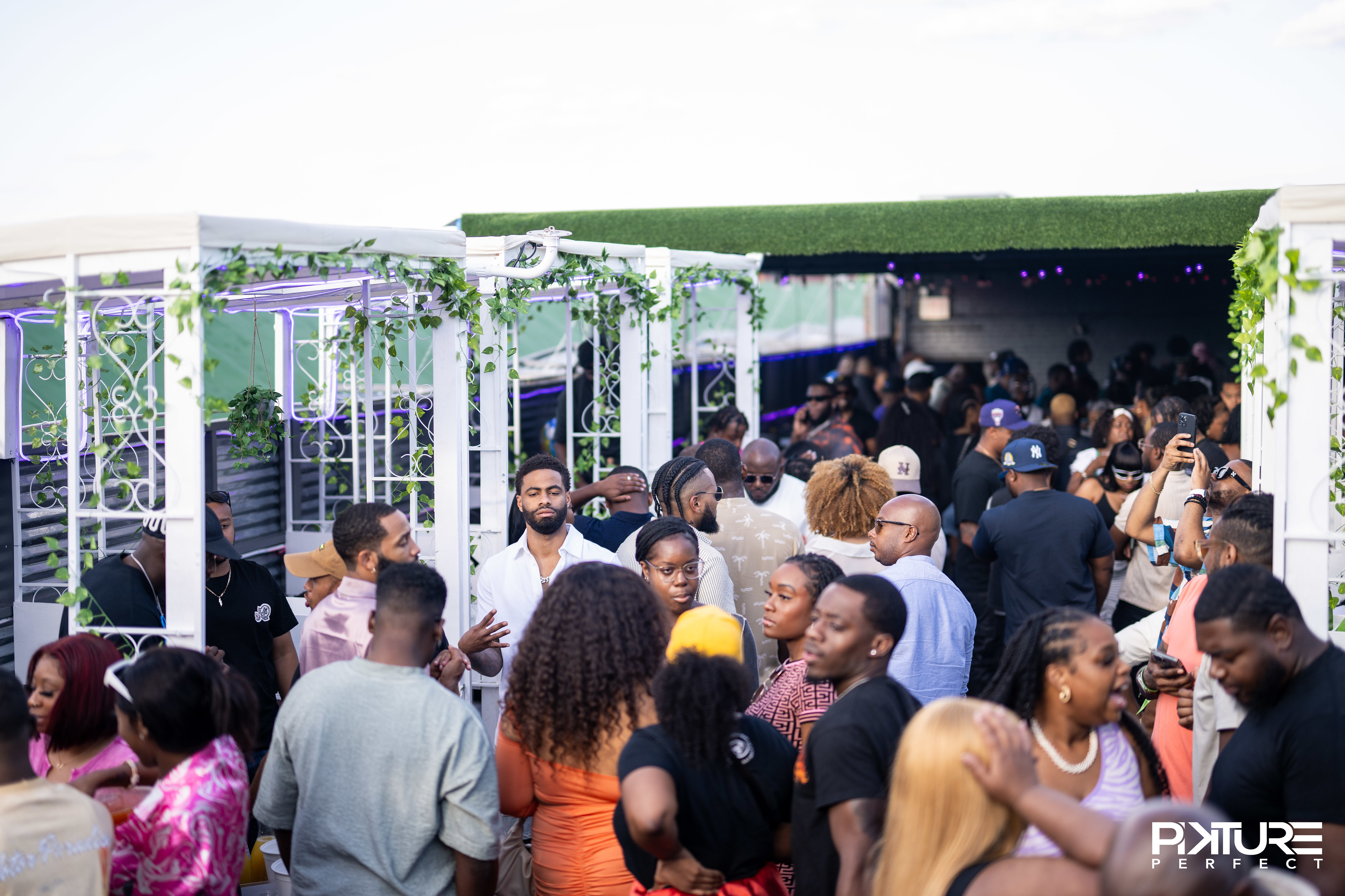 Gallery Vibe 1