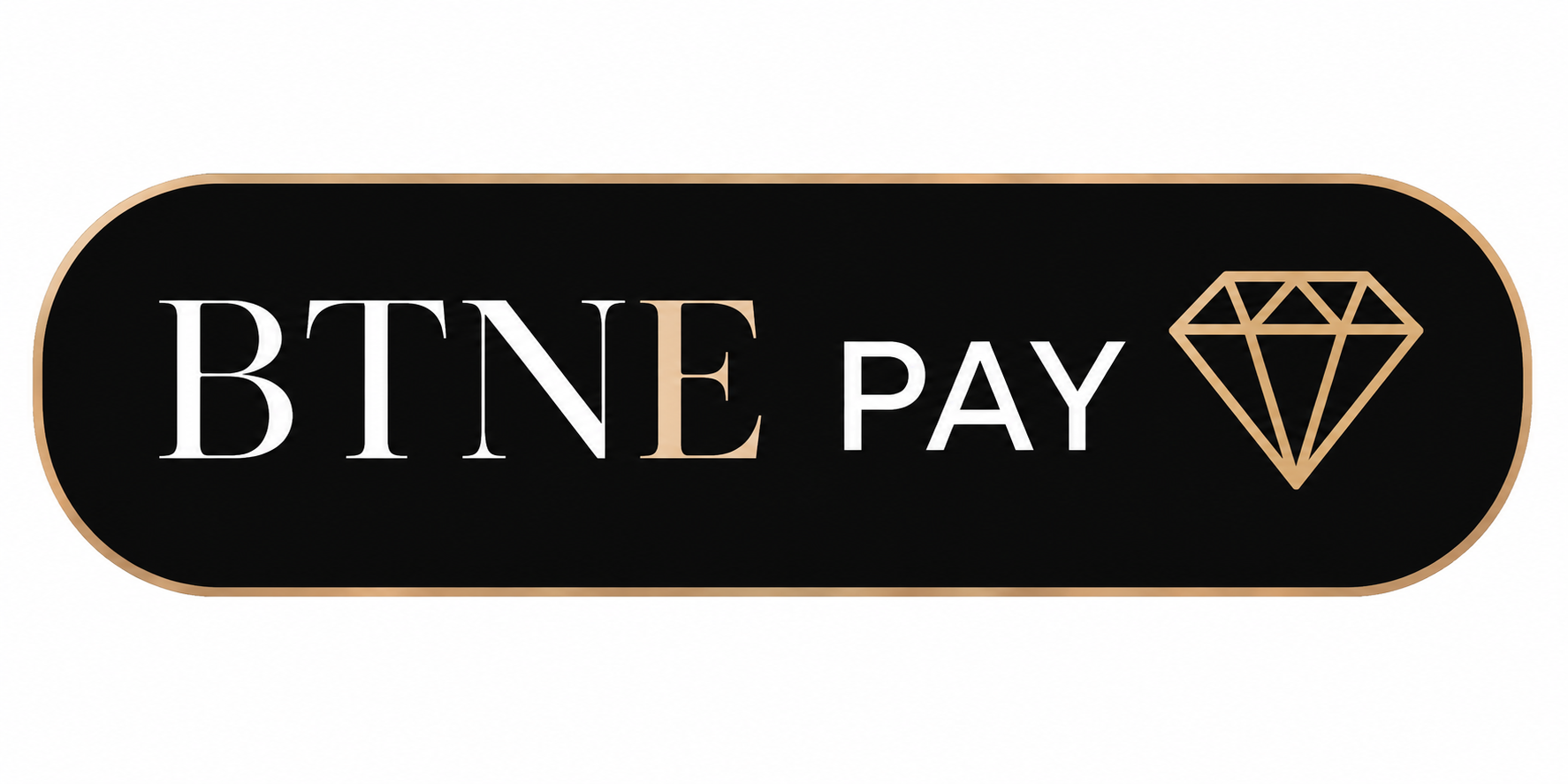 BTNE Pay
