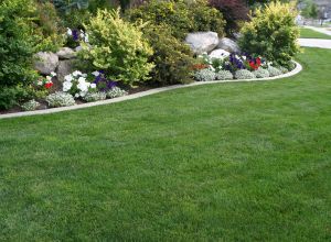 Lawn Care