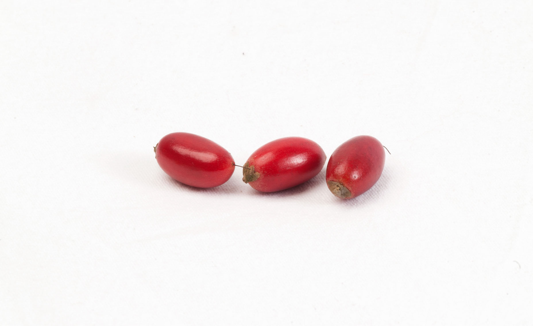 Fruta milagrosa fresca sobre fondo claro