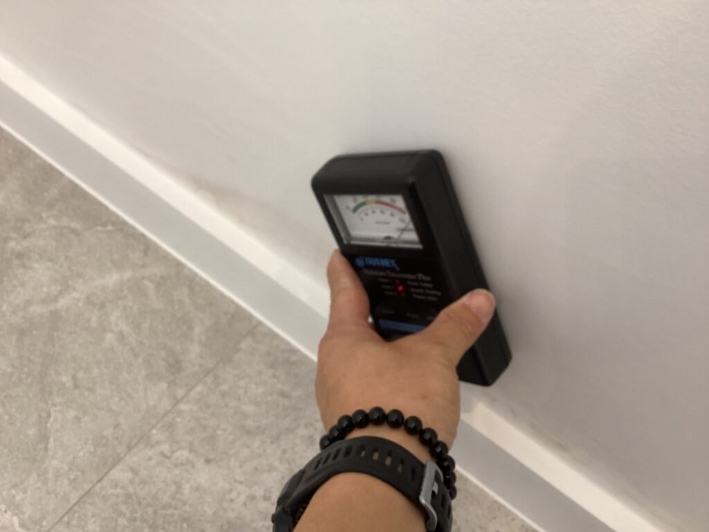 Rising damp detection