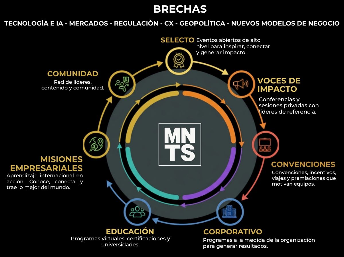 Ecosistema MNTS — rutas de aprendizaje
