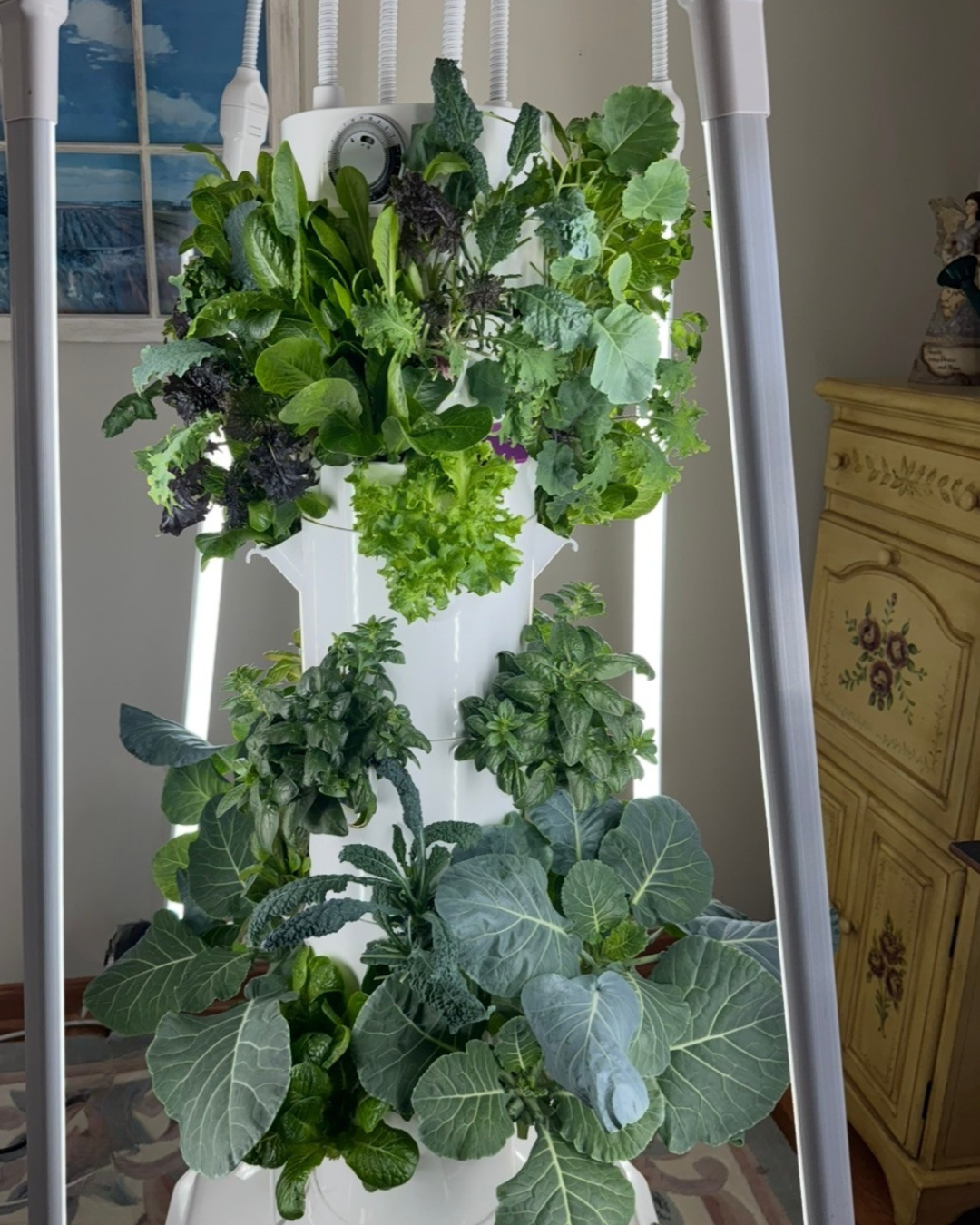Tower Garden HOME
