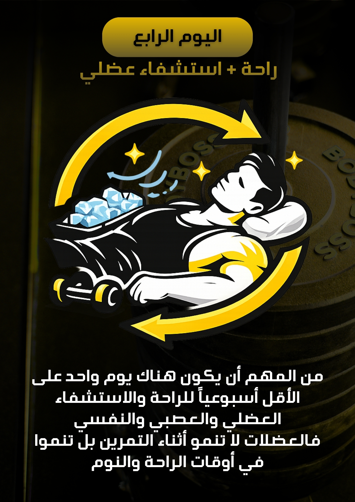 محتوى البرنامج 4