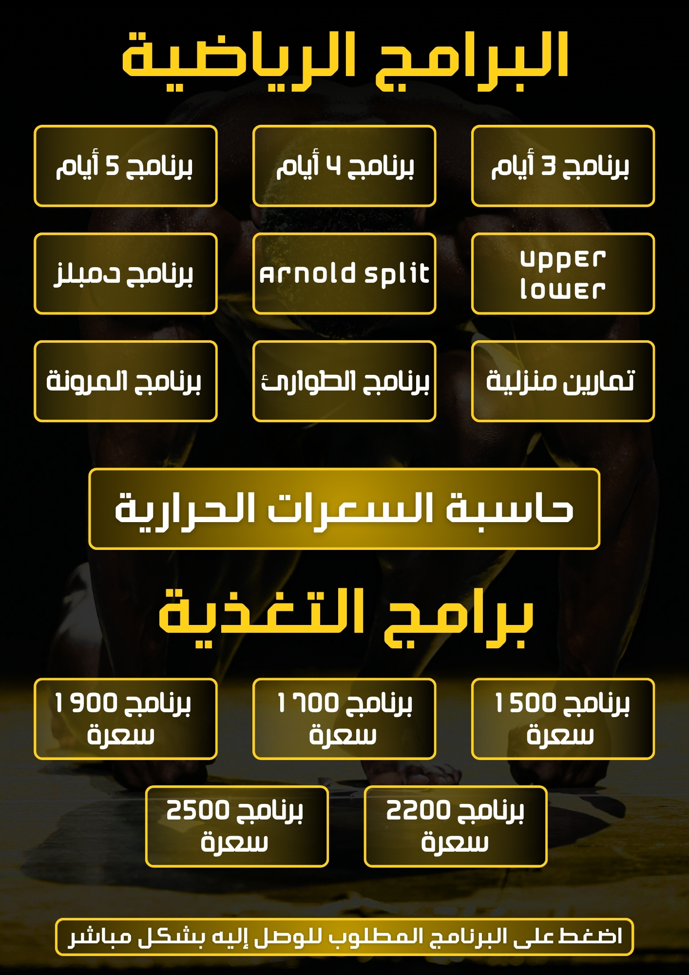 محتوى البرنامج 3