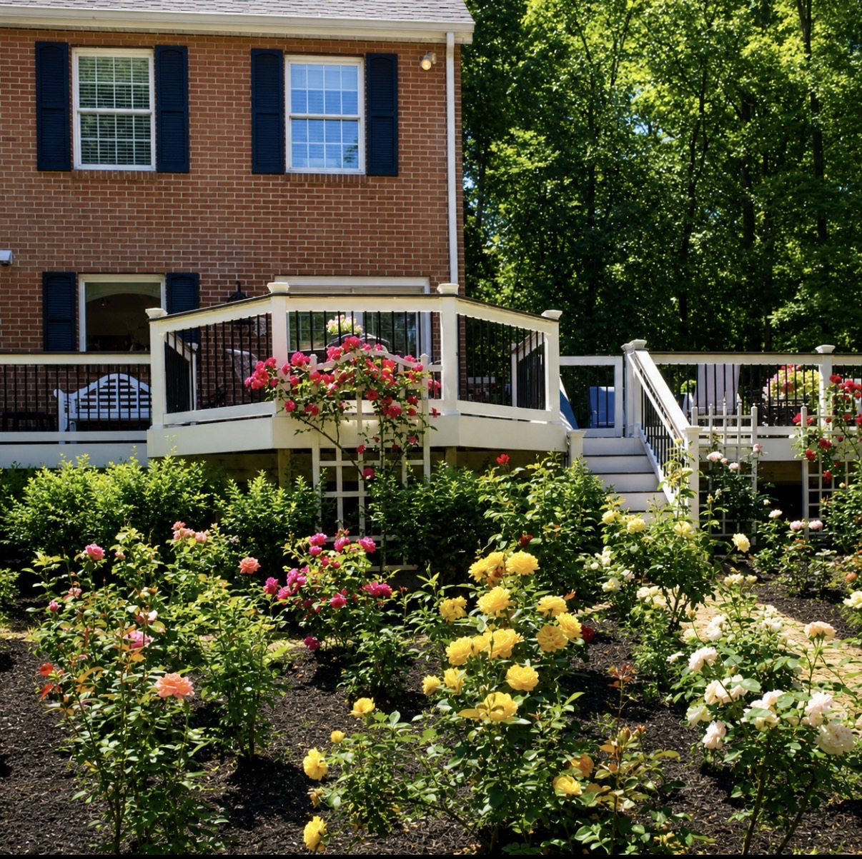 Custom Deck with Rose Garden & Lattice