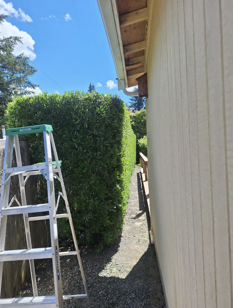 Landscaping project 9