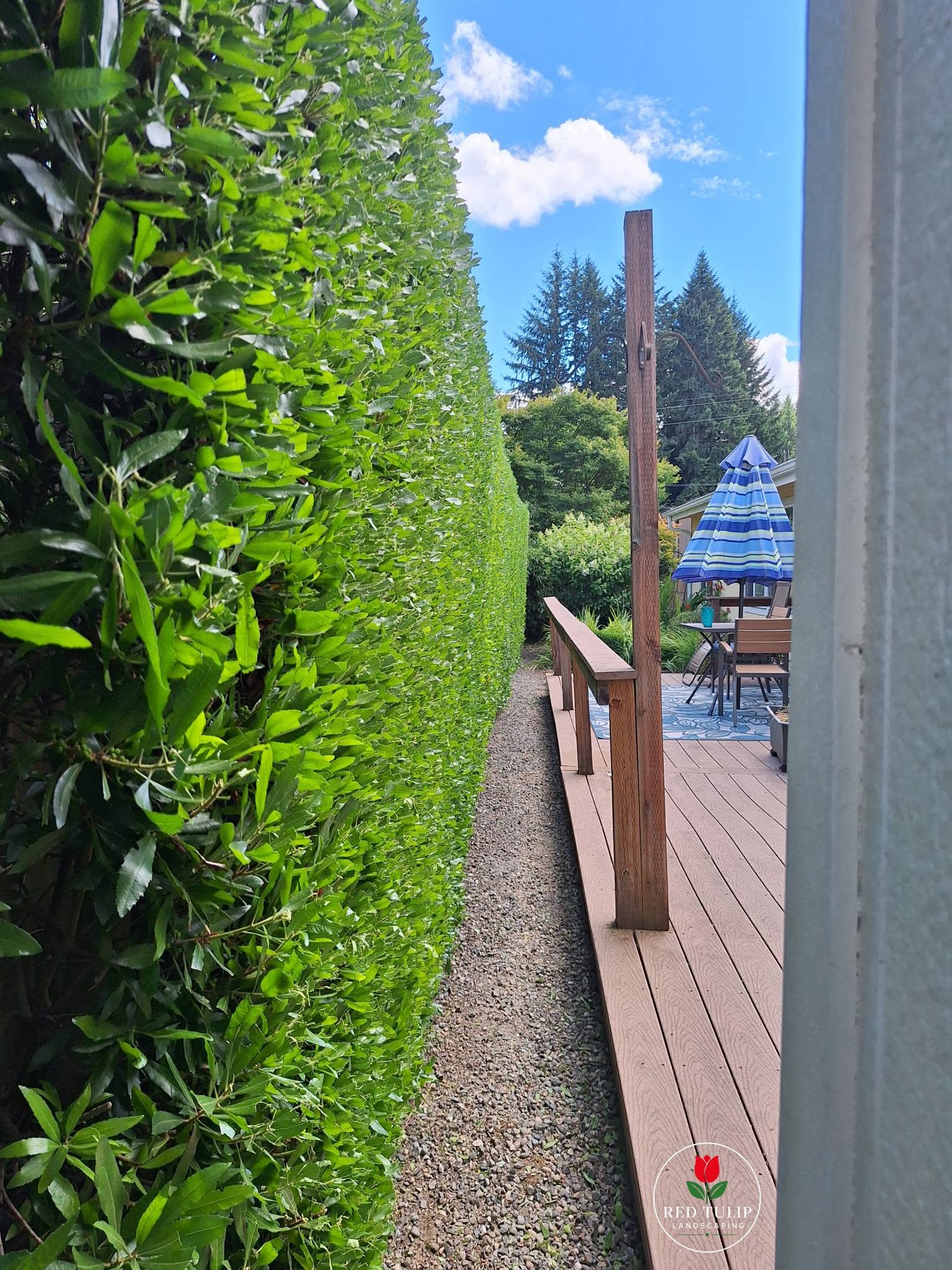 Landscaping project 2
