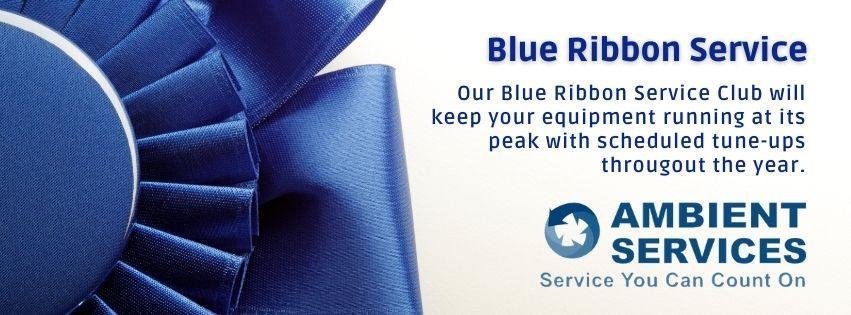 Blue Ribbon Service