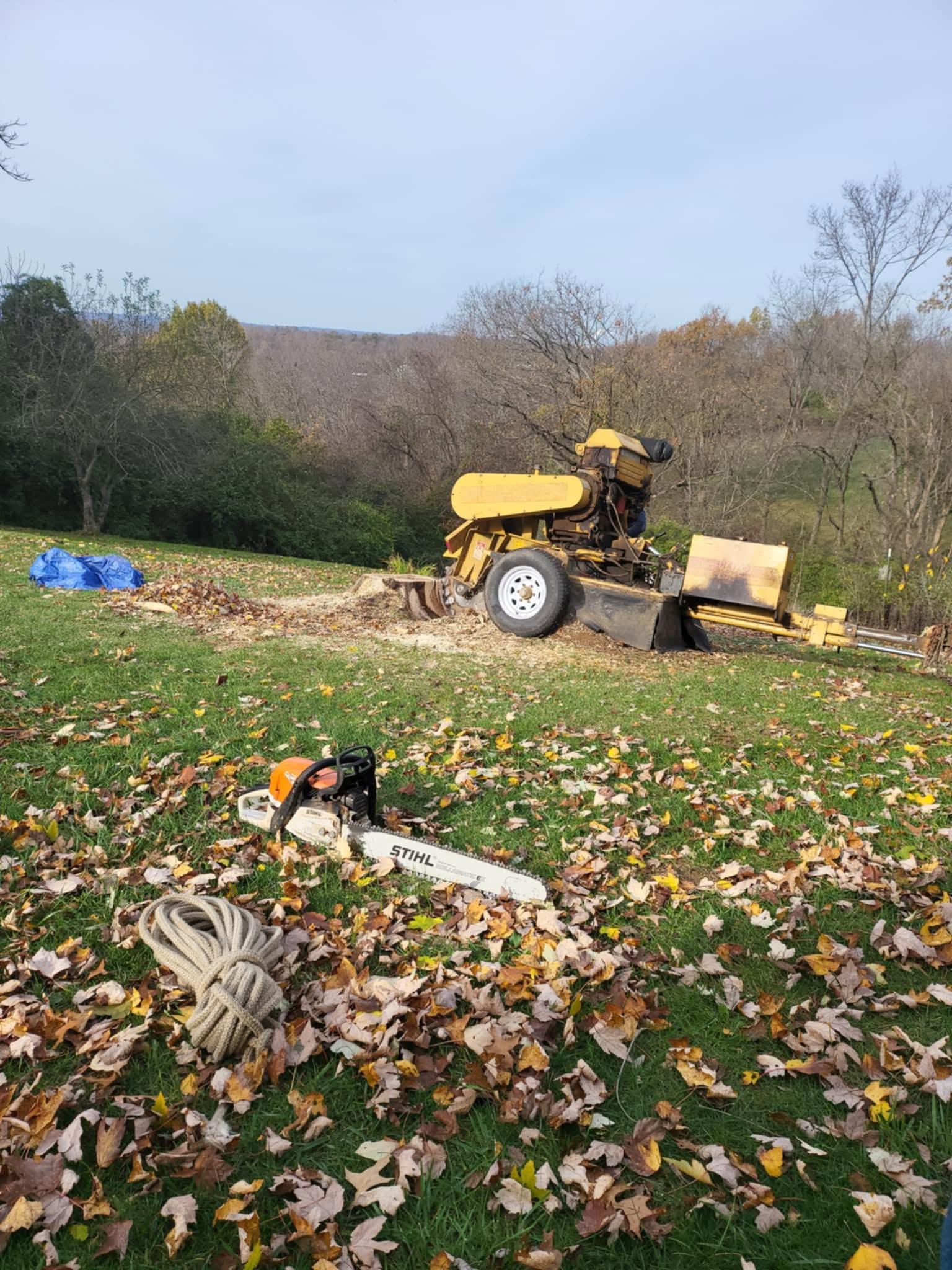 Tree removal equipment in Florence KY