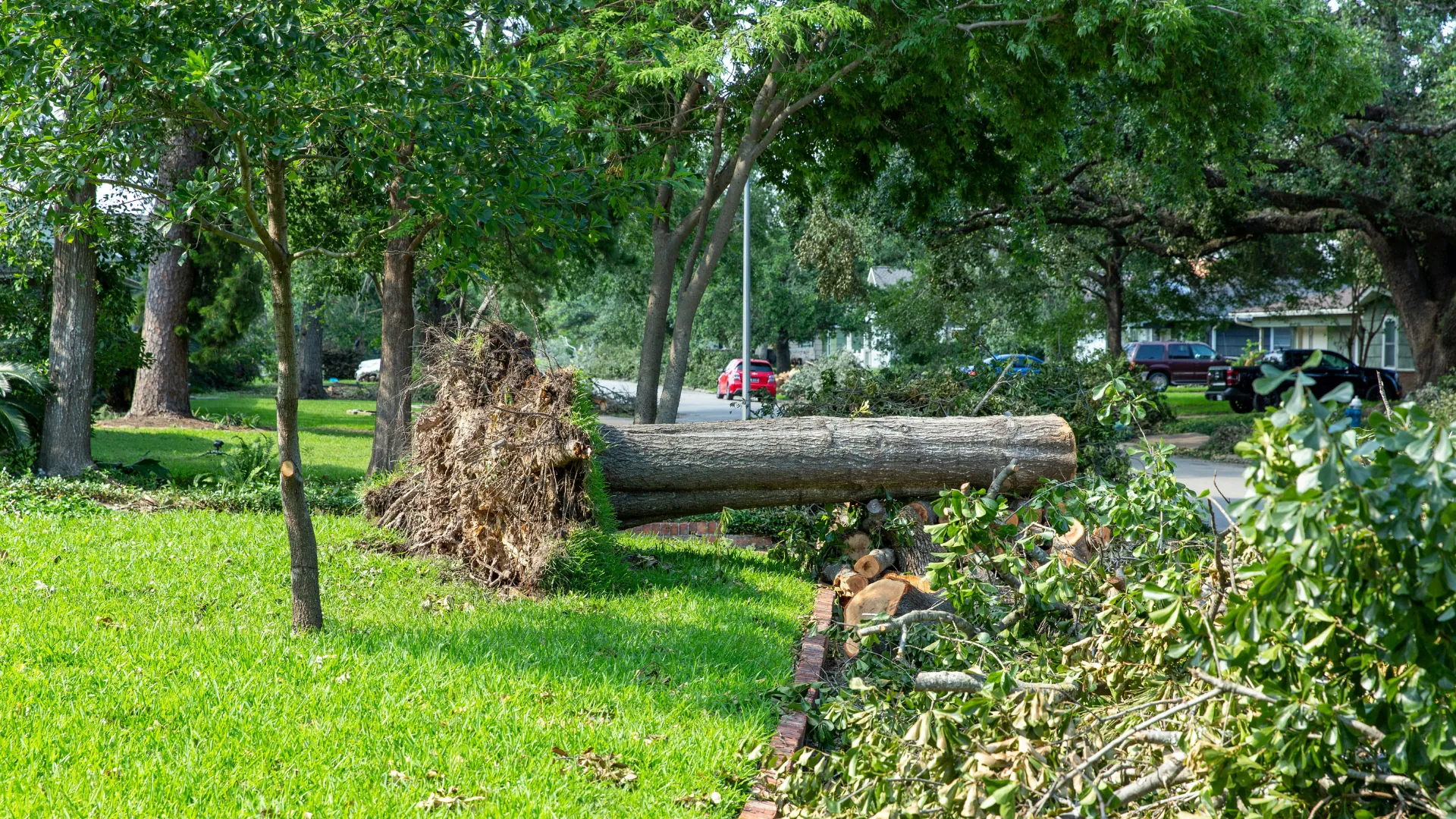 Professional storm cleanup services in Northern Kentucky