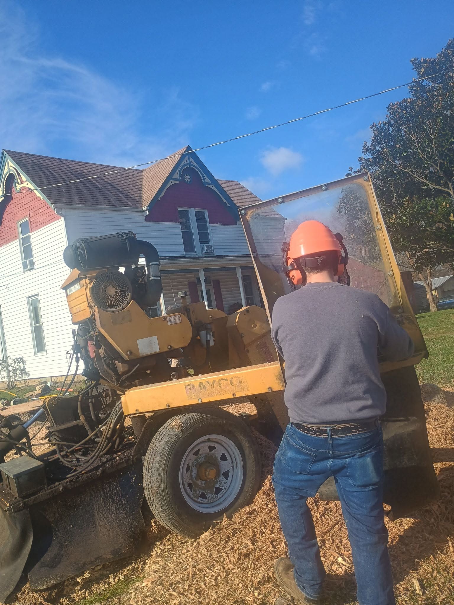 Stump removal process