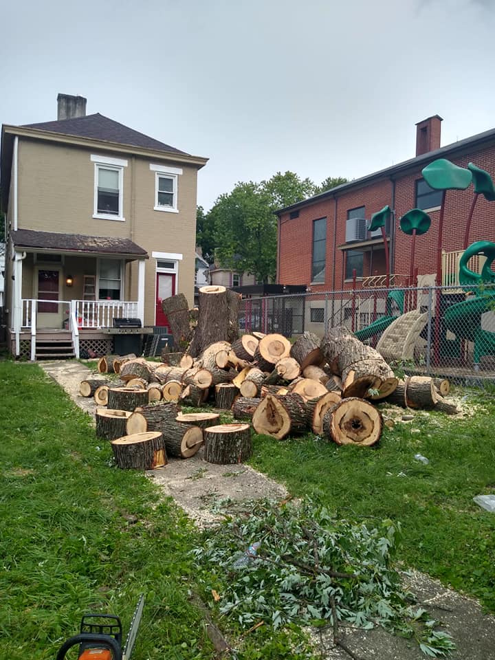 Storm damage cleanup project in Northern Kentucky