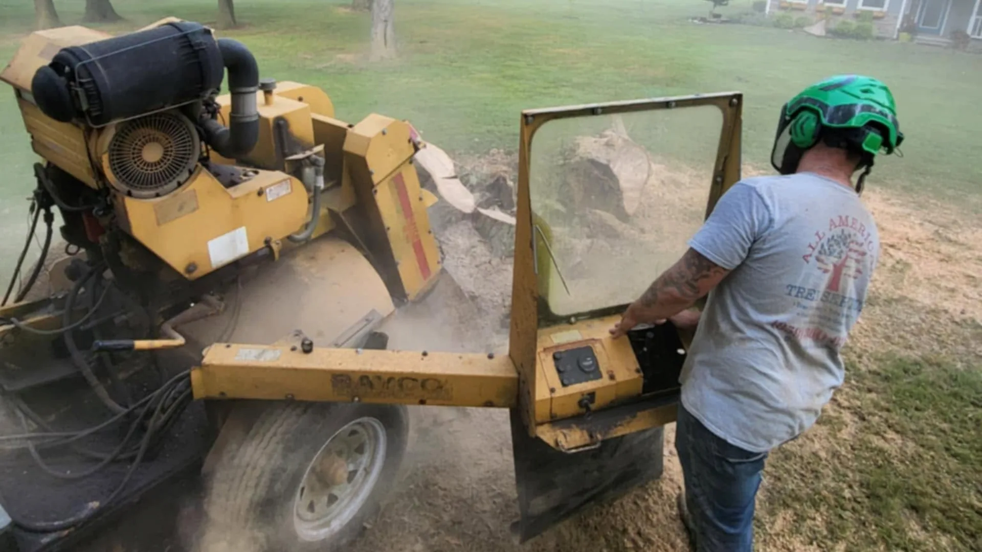 Professional stump grinding services in Northern Kentucky