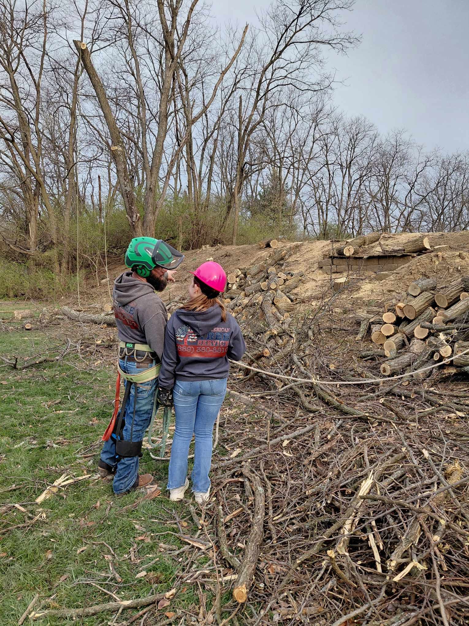Tree service crew in Villa Hills