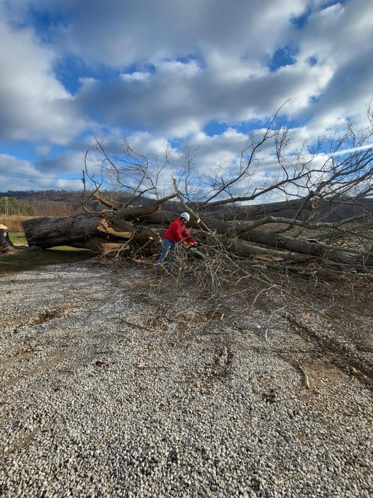 Storm Damage Cleanup