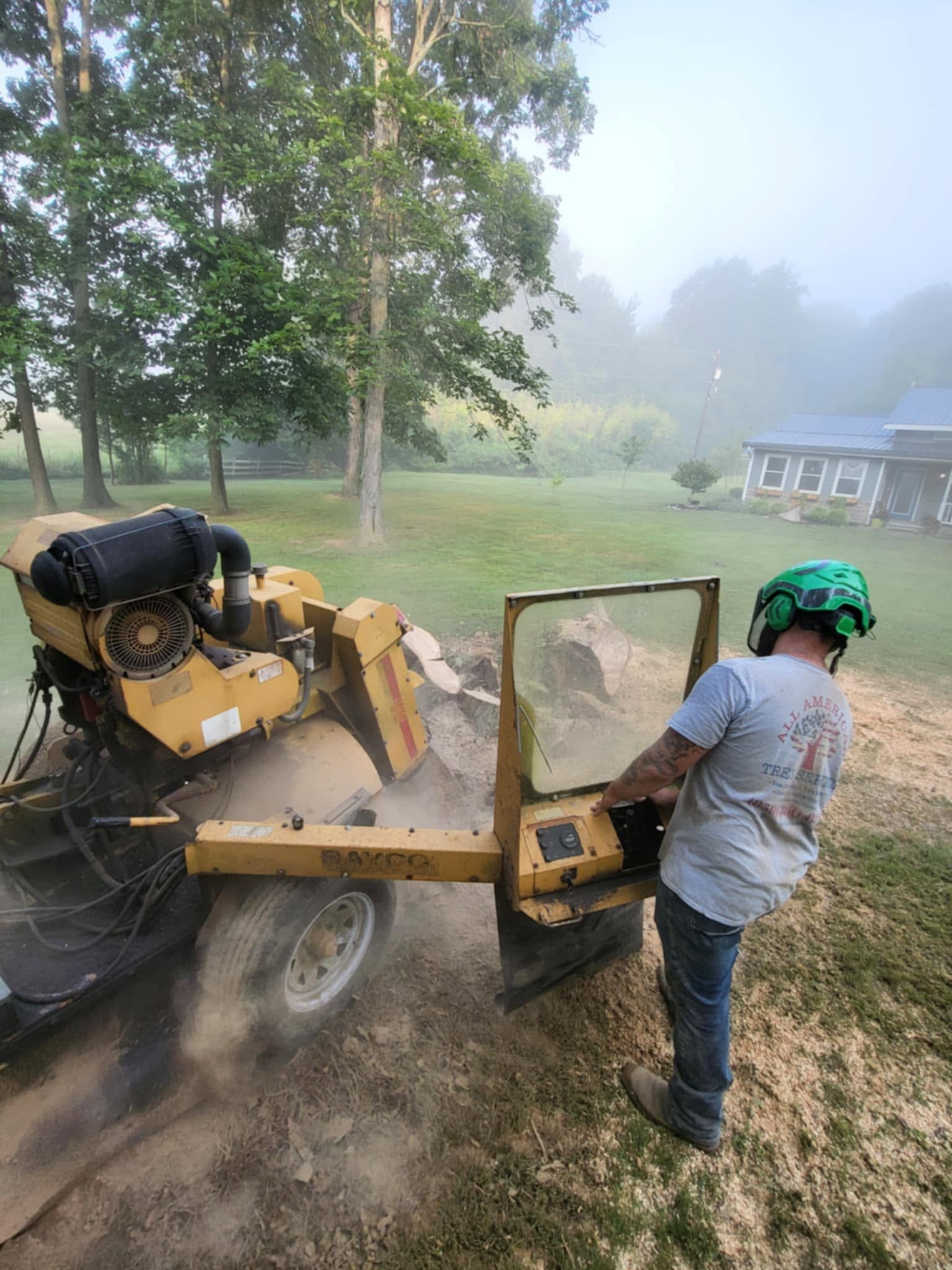 Stump Grinding Service