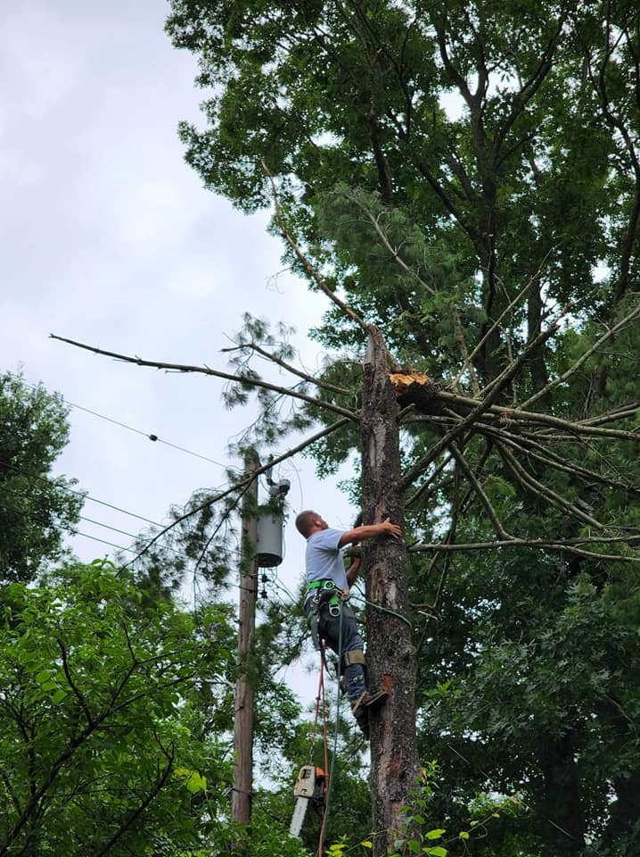 Storm damage cleanup in Northern Kentucky