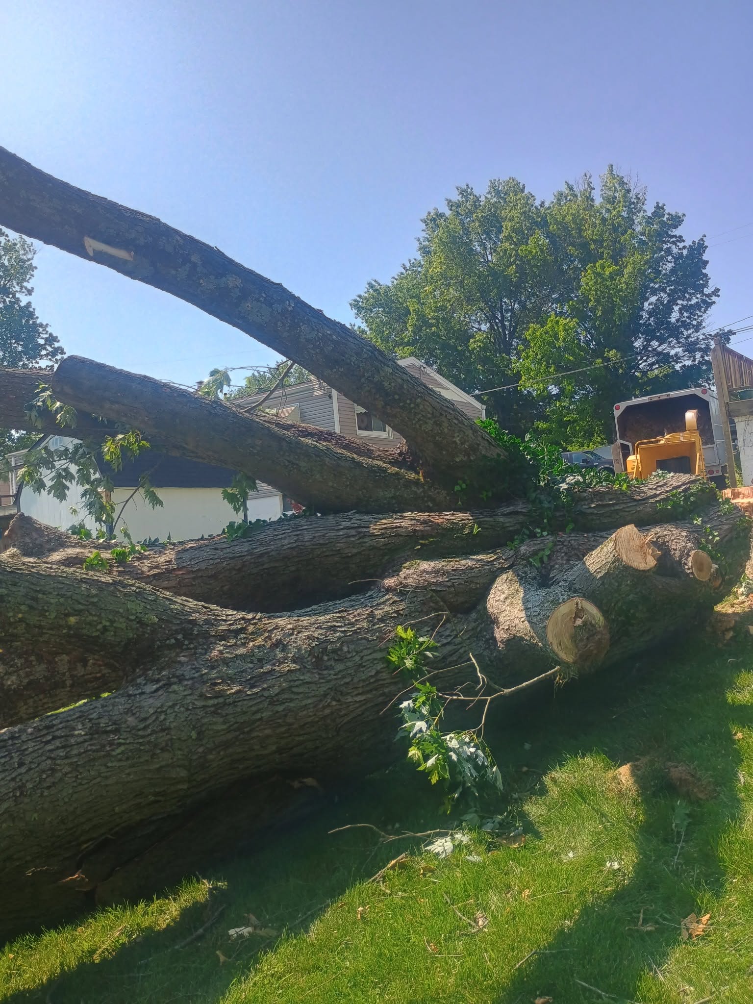 Storm damage cleanup in Northern Kentucky
