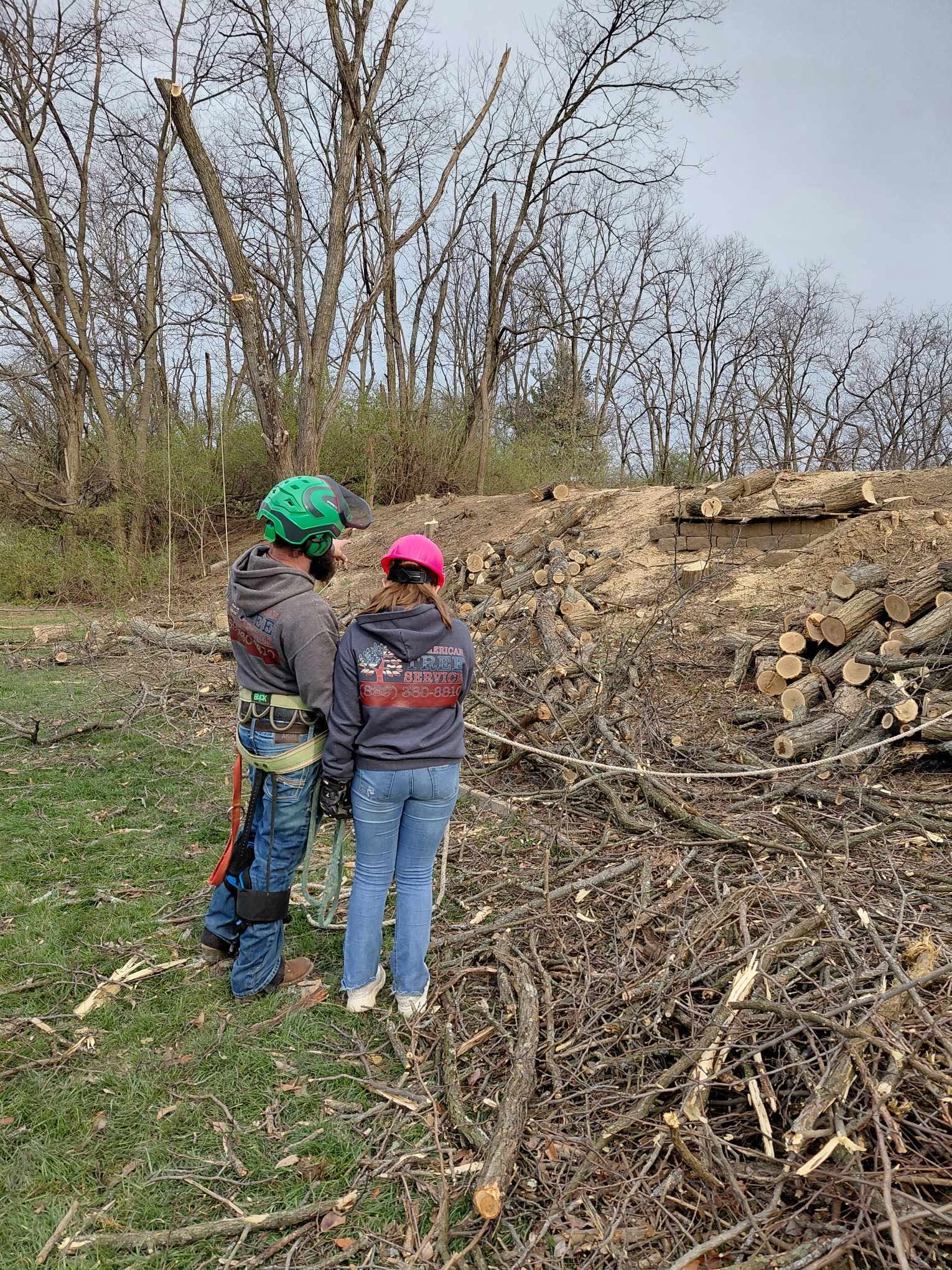 Owner Mark Melford pointing out details to his daughter at a tree removal site