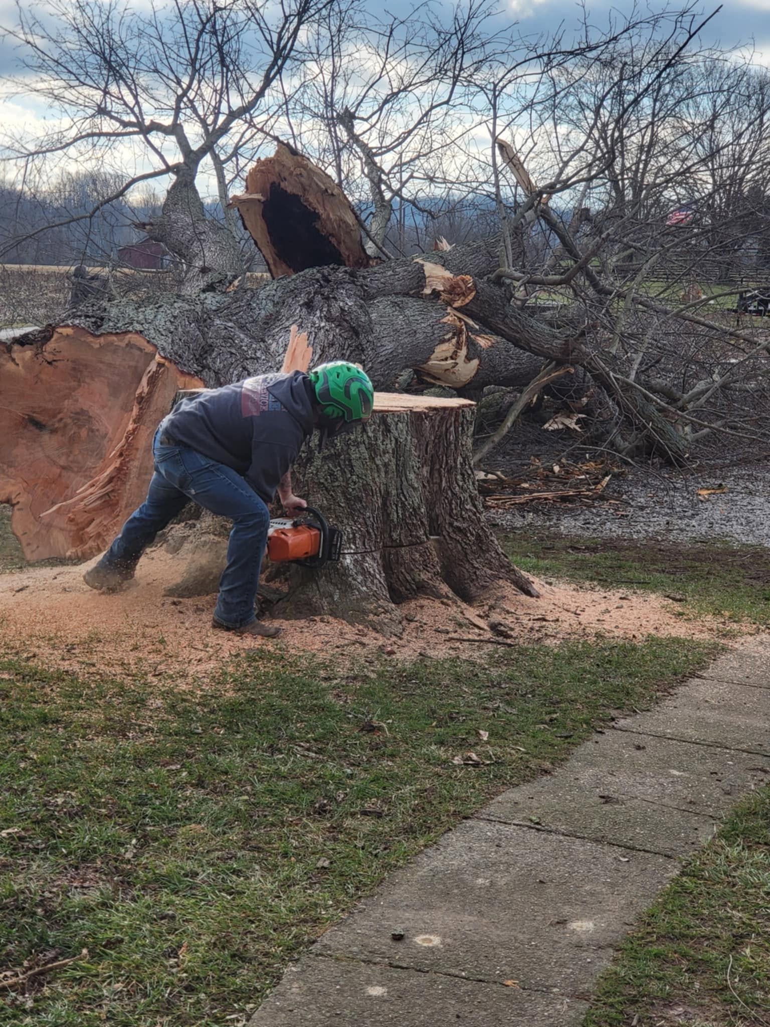 Tree service in Independence