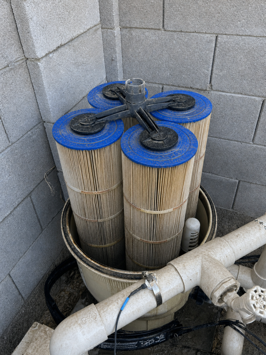 Dirty pool filter before cleaning