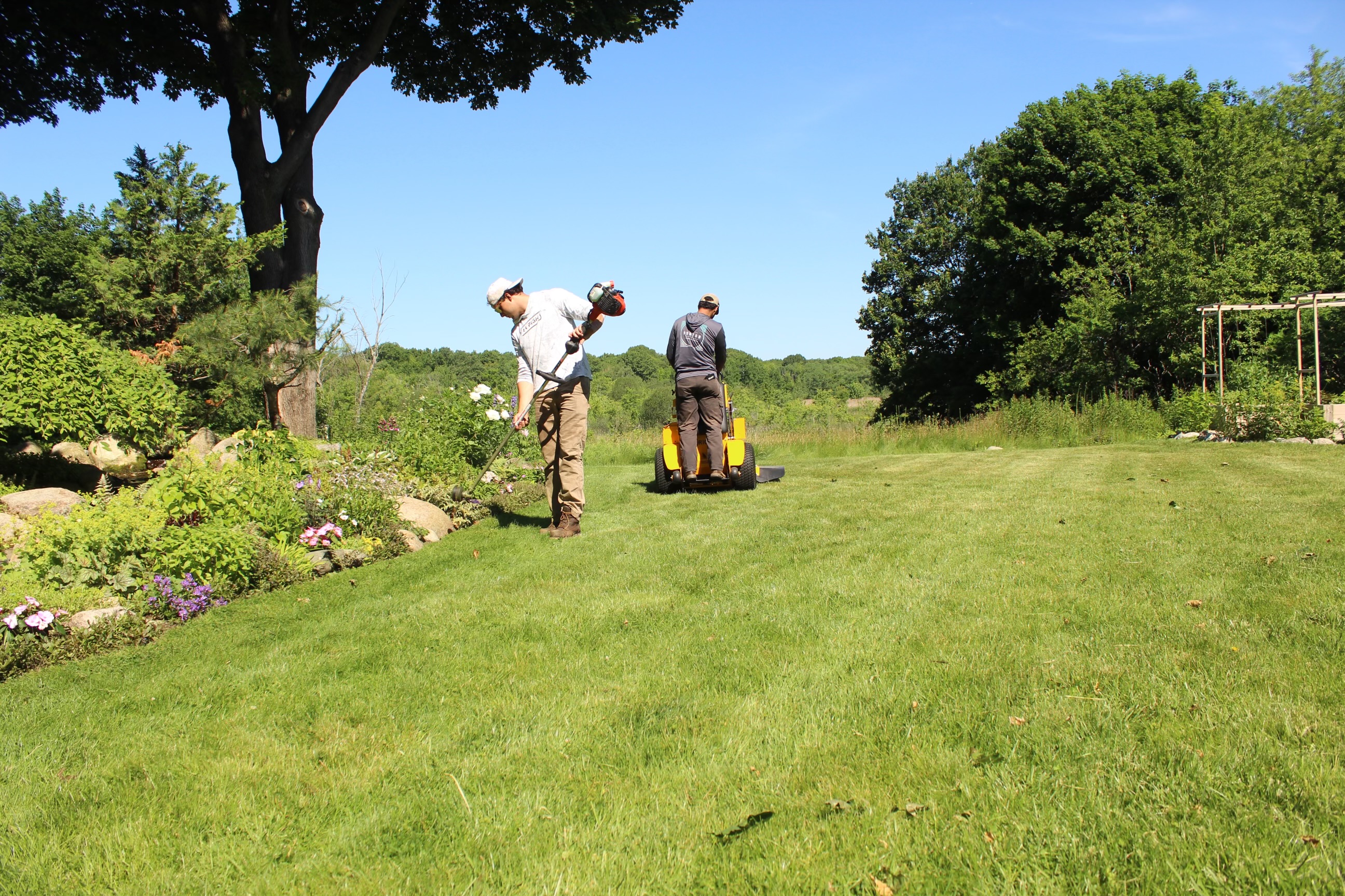 Landscaping Services Arlington MA - Professional lawn care and maintenance