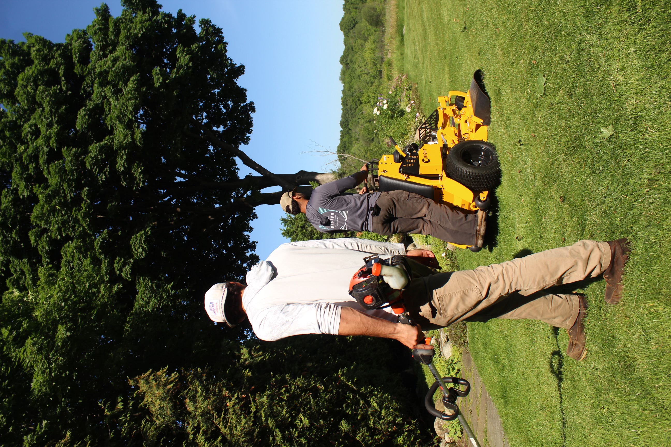 Shrub trimming and pruning, Lexington, MA