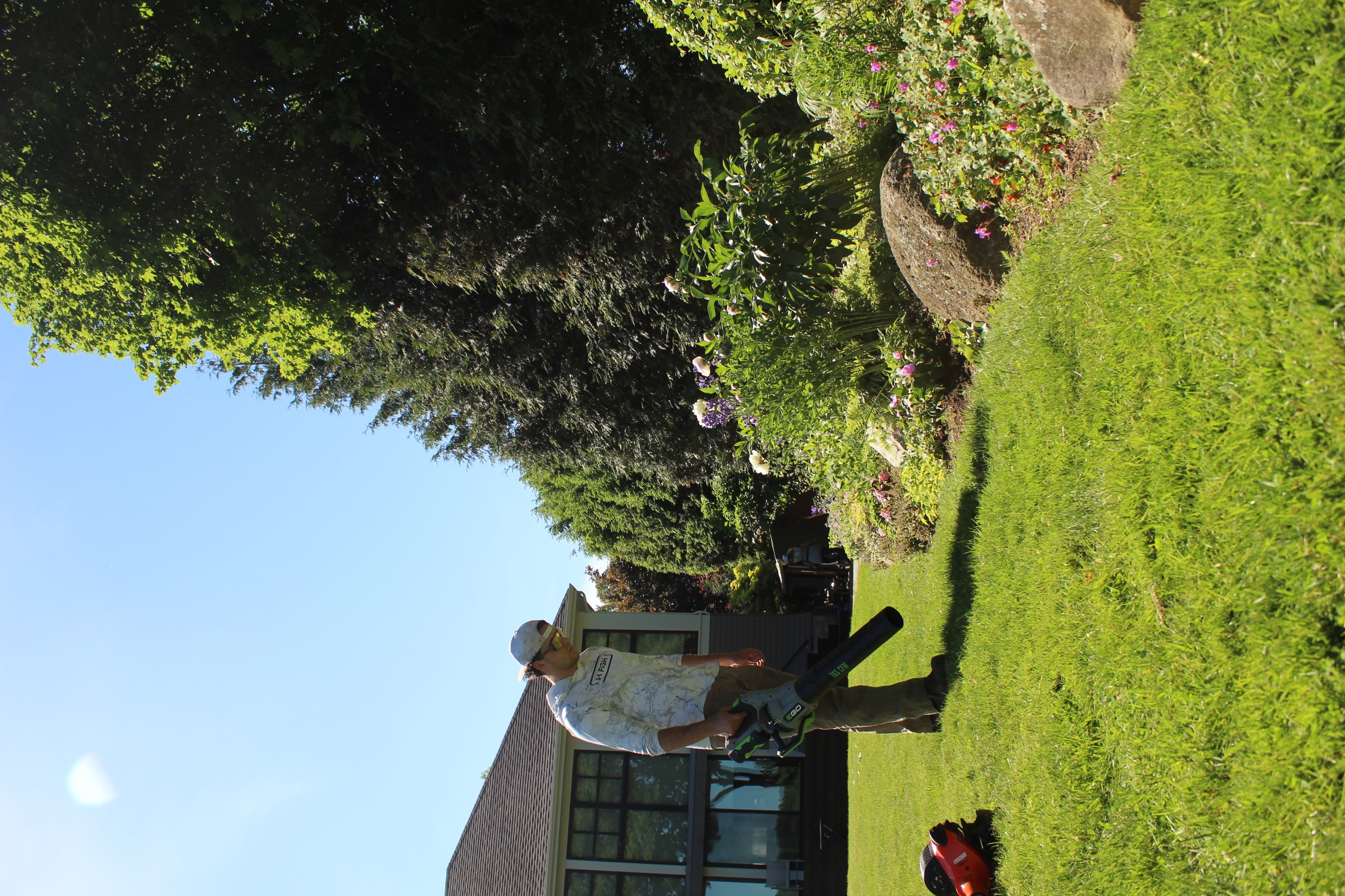 Fall leaf removal service in Arlington, MA