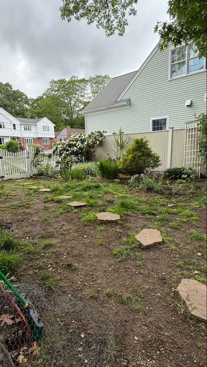 Before spring cleanup and leaf removal in Belmont MA