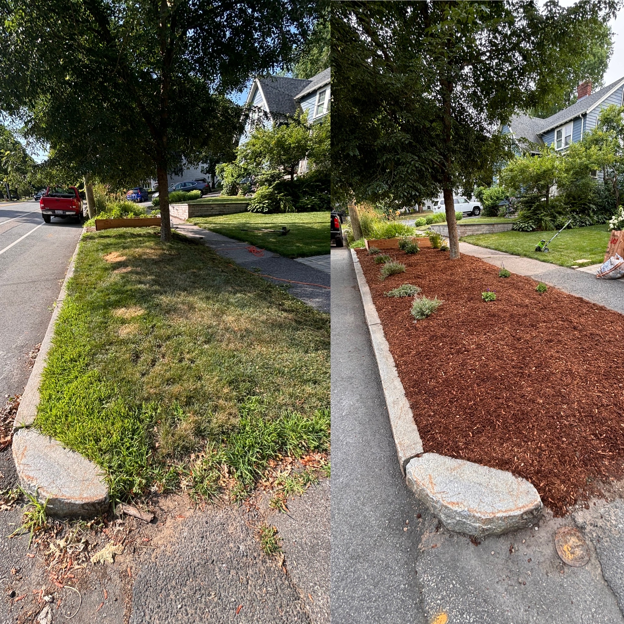 Before and after mulching Belmont MA