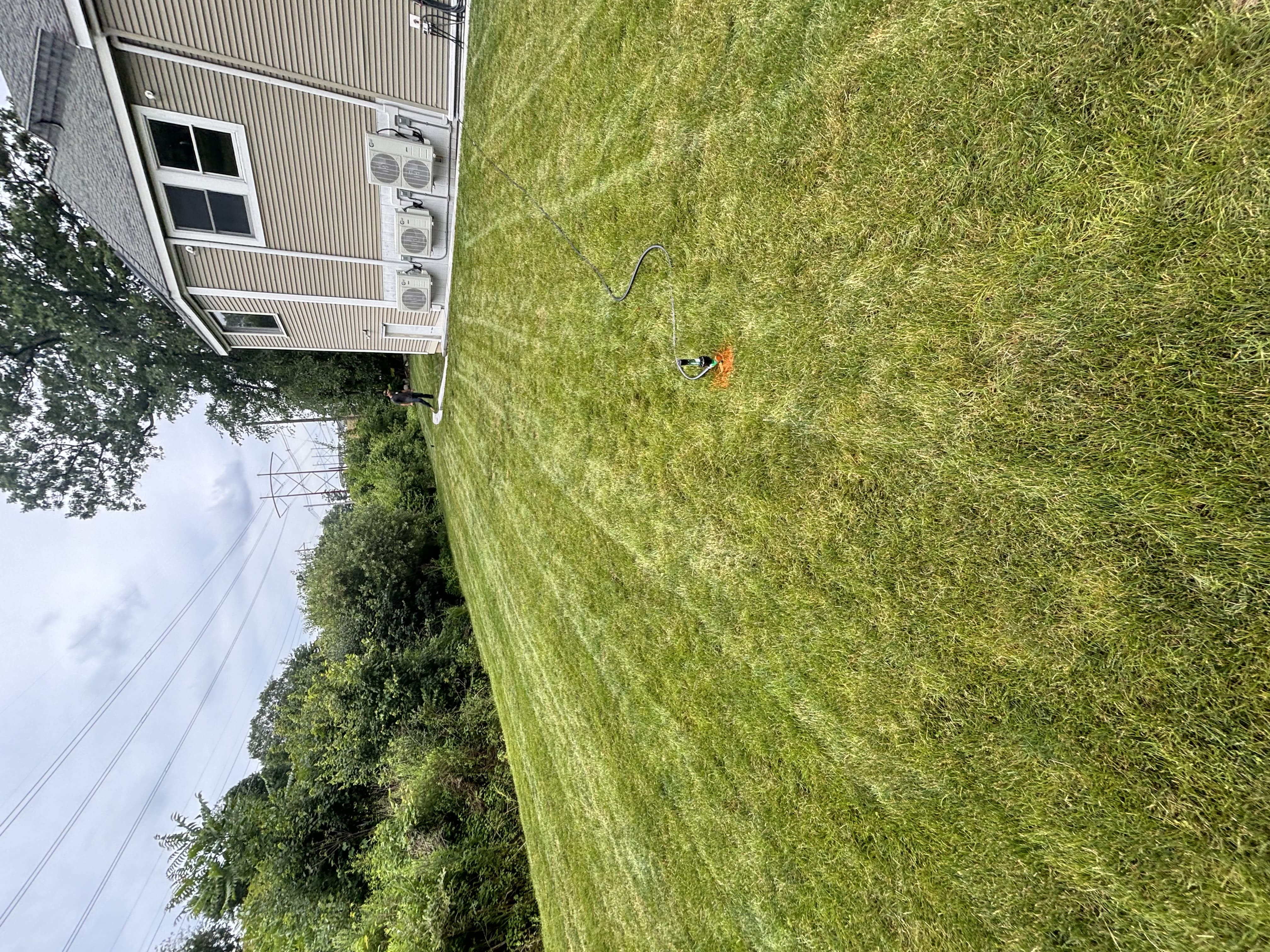 Large residential lawn maintained by Jake's Landscaping, Lexington, MA