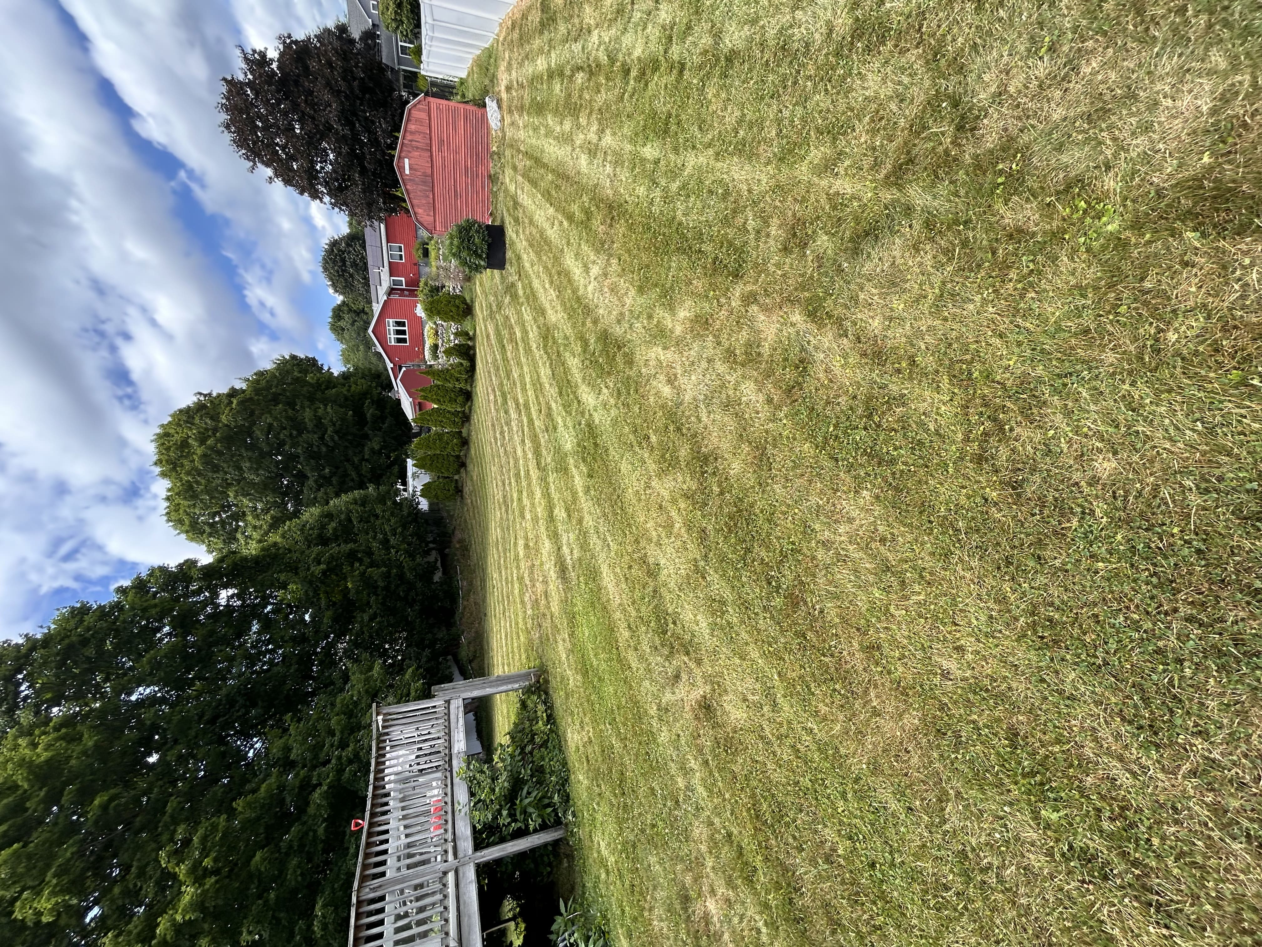 Regular yard maintenance visit, Belmont, MA