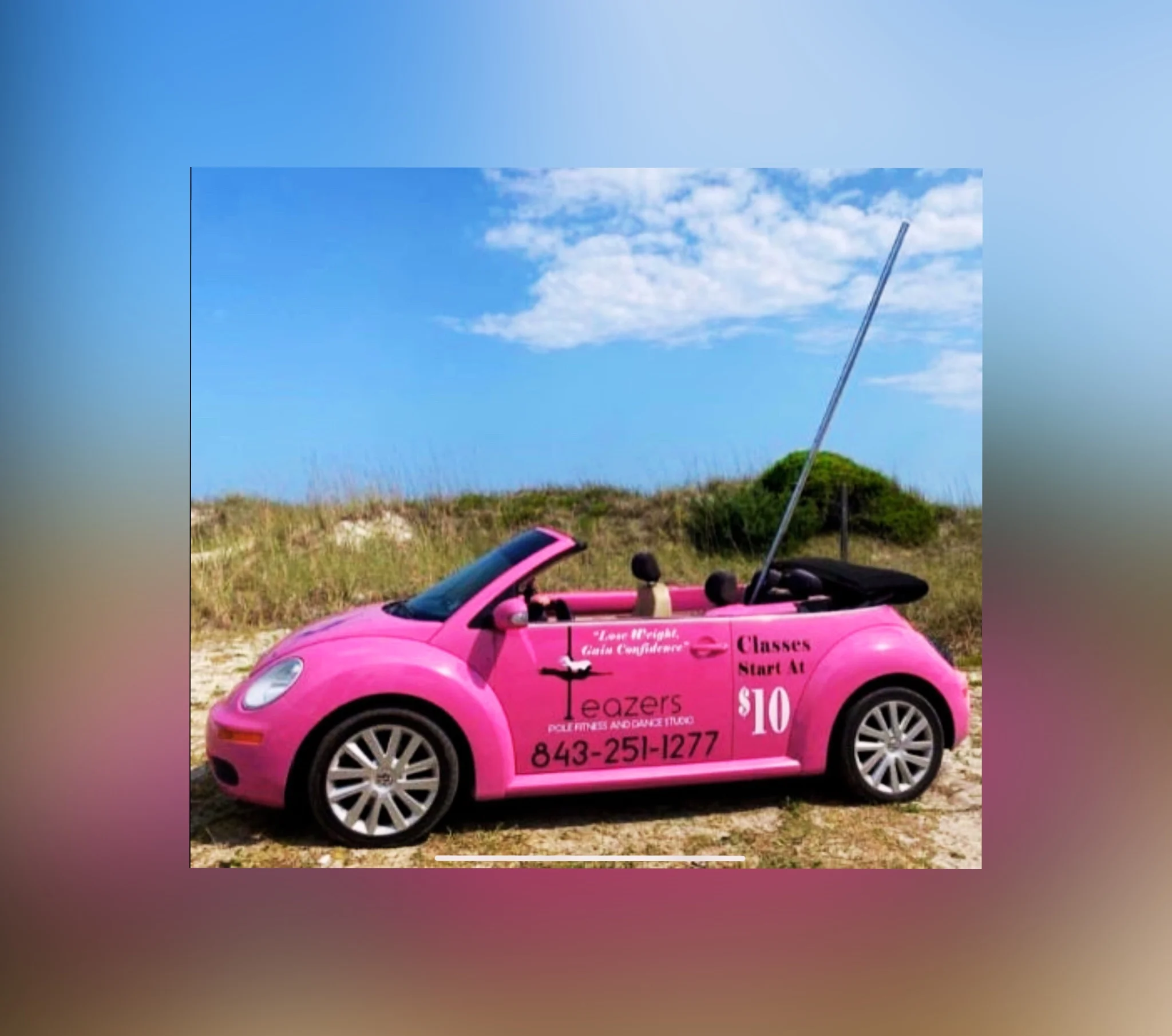 Teazers Pink Bug with Pole