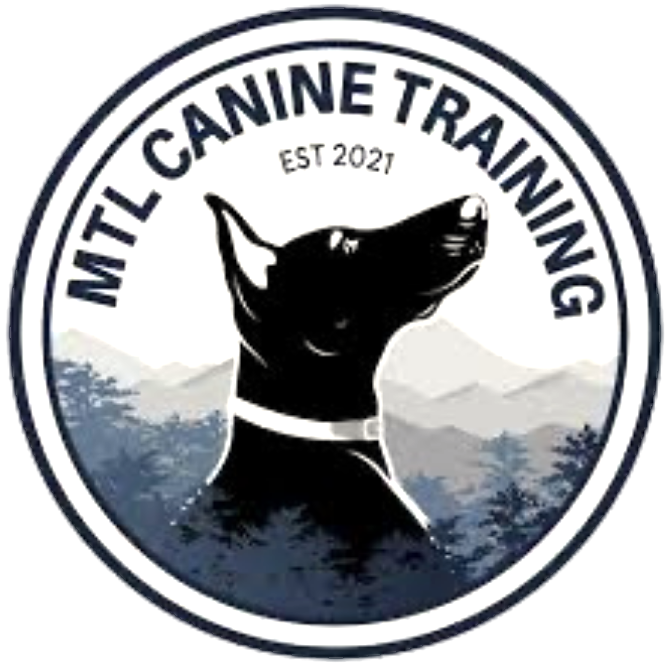 MTL Canine Training