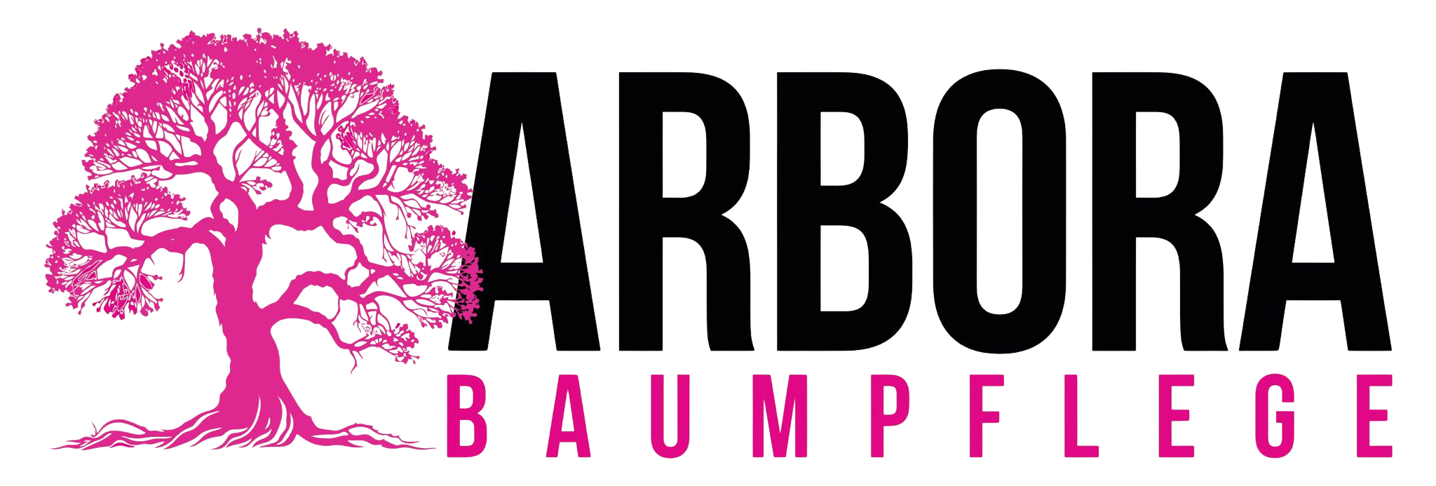 Arbora Baumpflege