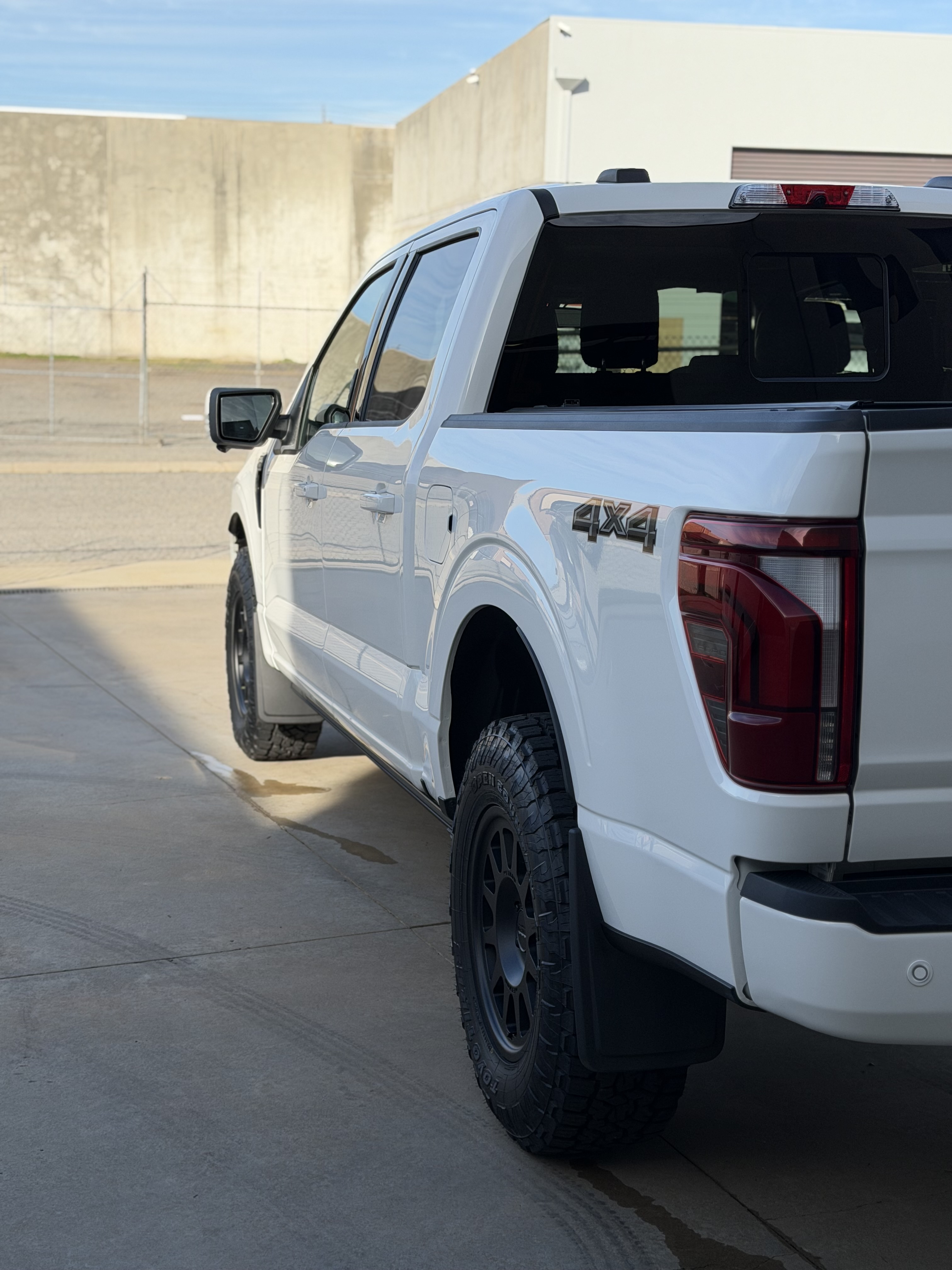 Paint Protection Detail