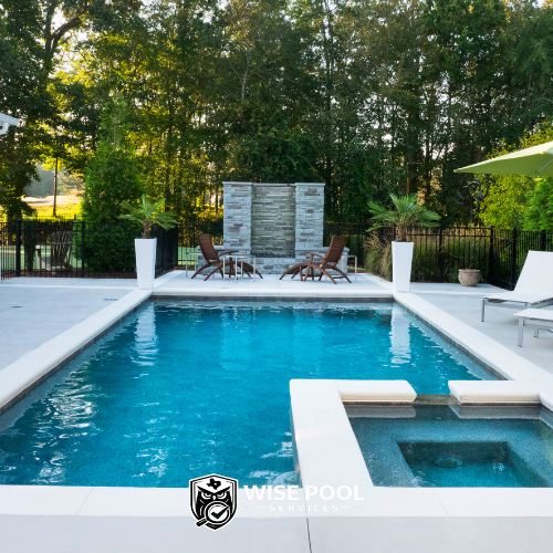 Wise Pool Services Clean Pool