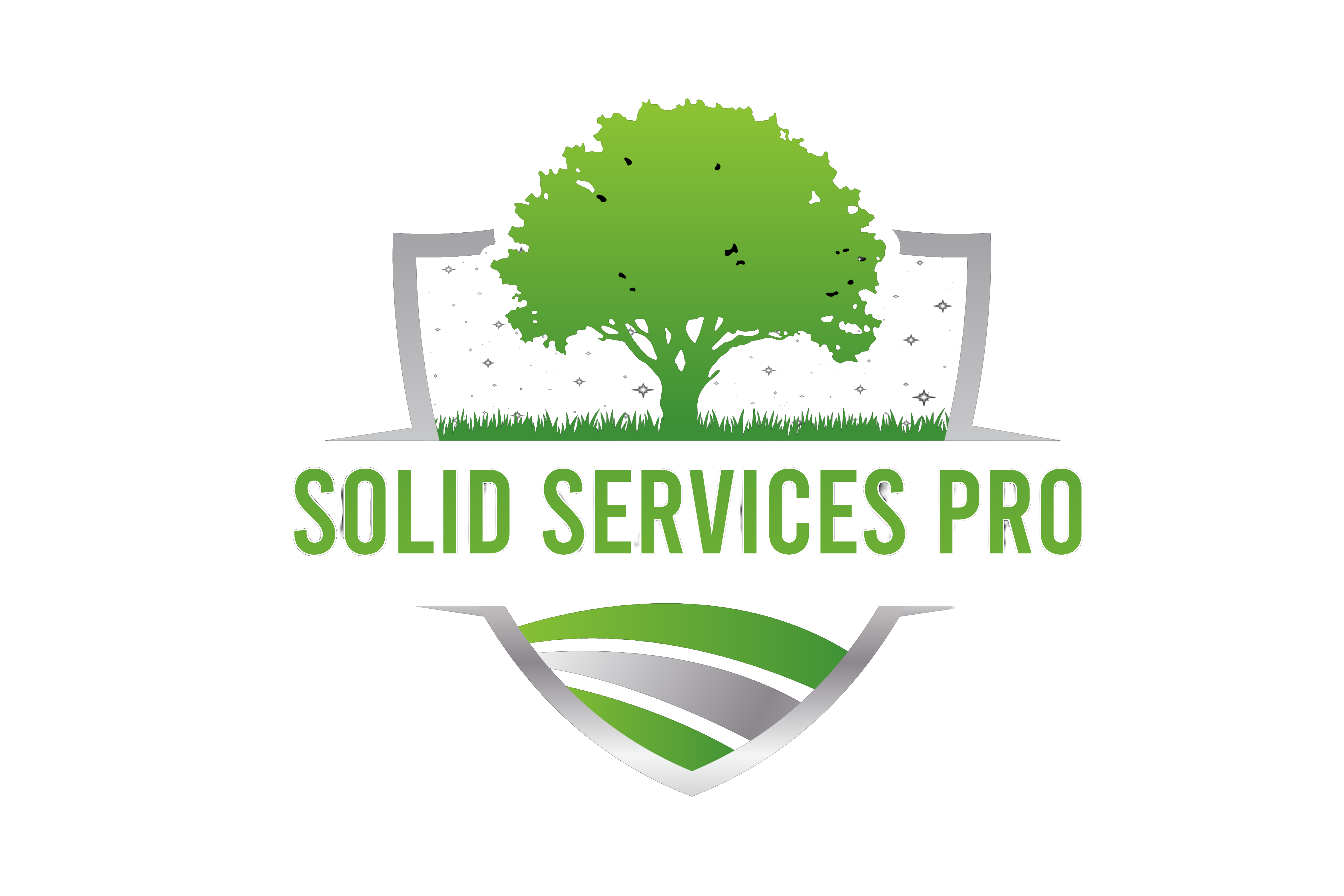 Solid Services Pro