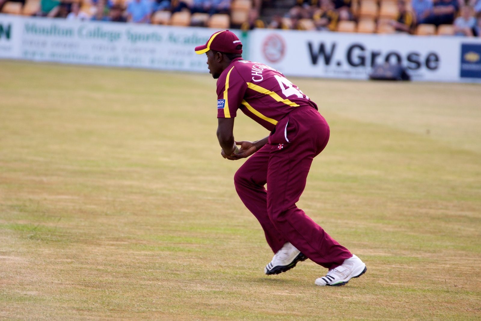 Elton Chigumbura — Zimbabwean Cricket legend