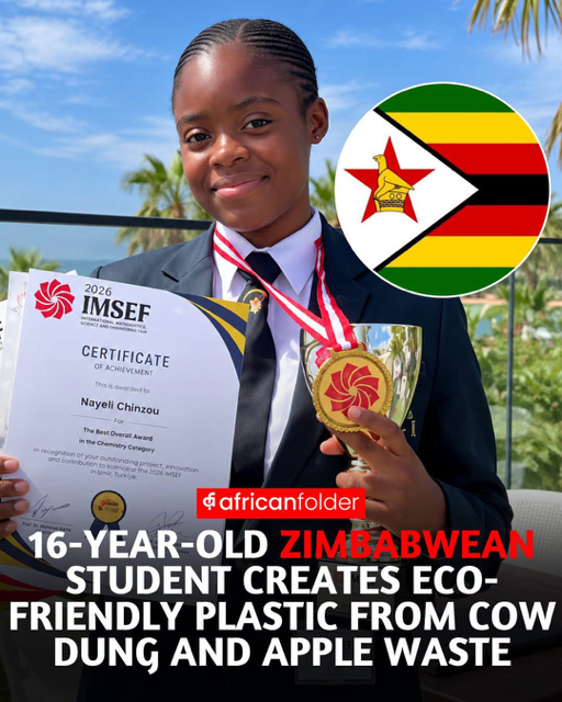 Nayeli Chenai Chinzou — Zimbabwean Innovation legend