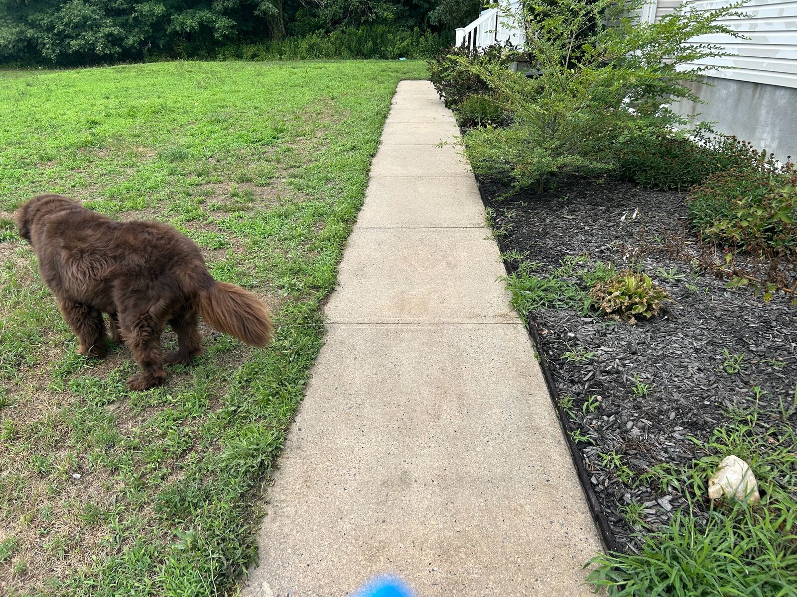 Concrete Walkway Restoration - Pressure Washing in Pitman, NJ